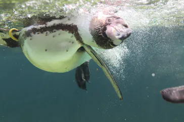 葛西臨海水族園に投稿された画像（2026/4/12）