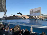 名古屋港水族館に投稿された画像（2026/4/12）