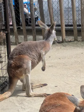 名古屋市東山動植物園に投稿された画像（2026/4/12）