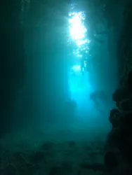 武藤潜水に投稿された画像（2026/4/12）