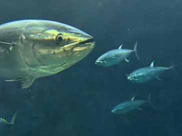 葛西臨海水族園に投稿された画像（2026/4/12）