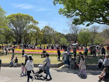 万博記念公園に投稿された画像（2026/4/12）