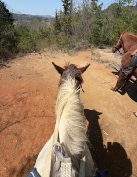 にんにんホーススクールに投稿された画像（2026/4/12）