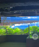 カワスイ 川崎⽔族館に投稿された画像（2026/4/12）