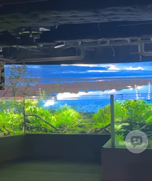 カワスイ 川崎⽔族館に投稿された画像（2026/4/12）