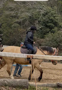 にんにんホーススクールに投稿された画像（2026/3/30）