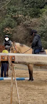 にんにんホーススクールに投稿された画像（2026/3/30）