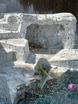 天王寺動物園に投稿された画像（2026/4/12）