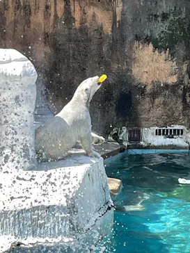 天王寺動物園に投稿された画像（2026/4/12）