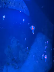 仙台うみの杜水族館に投稿された画像（2026/4/12）