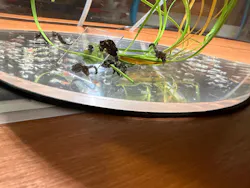 仙台うみの杜水族館に投稿された画像（2026/4/12）