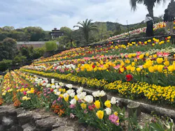 レオマリゾートに投稿された画像（2026/4/12）