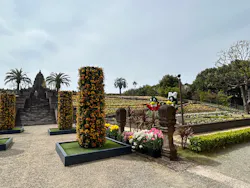 レオマリゾートに投稿された画像（2026/4/12）