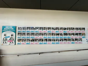 京都水族館に投稿された画像（2026/4/12）