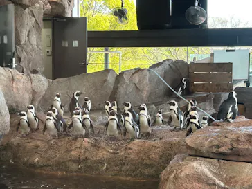 京都水族館に投稿された画像（2026/4/12）