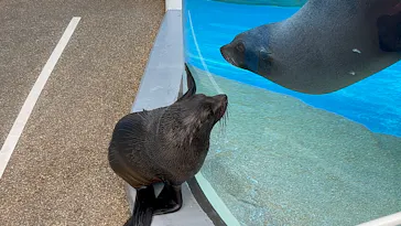 京都水族館に投稿された画像（2026/4/12）