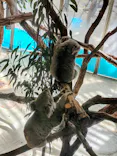 多摩動物公園に投稿された画像（2026/4/12）