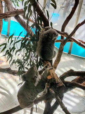多摩動物公園に投稿された画像（2026/4/12）