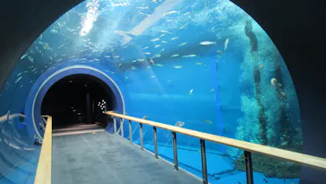滋賀県立琵琶湖博物館に投稿された画像（2026/4/12）