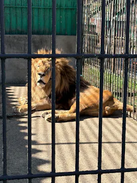 東北サファリパークに投稿された画像（2026/4/12）
