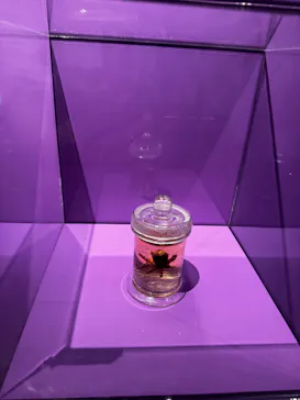 特別展「超危険生物展　科学で挑む生き物の本気」に投稿された画像（2026/4/12）