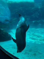 名古屋港水族館に投稿された画像（2026/4/12）