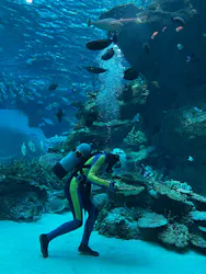 名古屋港水族館に投稿された画像（2026/4/12）