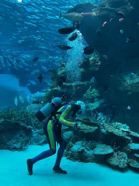 名古屋港水族館に投稿された画像（2026/4/12）