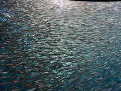 名古屋港水族館に投稿された画像（2026/4/12）