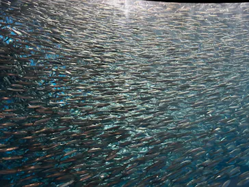 名古屋港水族館に投稿された画像（2026/4/12）