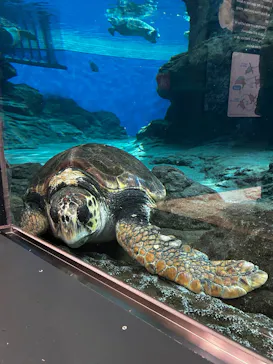 名古屋港水族館に投稿された画像（2026/4/12）