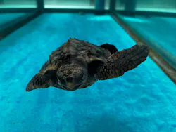 名古屋港水族館に投稿された画像（2026/4/12）