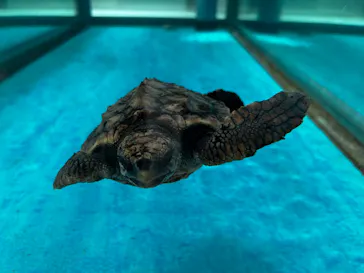 名古屋港水族館に投稿された画像（2026/4/12）