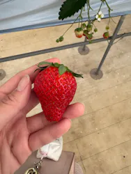 ＠FARMに投稿された画像（2026/4/12）