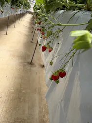 ＠FARMに投稿された画像（2026/4/12）