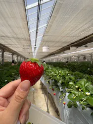 ＠FARMに投稿された画像（2026/4/12）