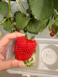 ＠FARMに投稿された画像（2026/4/12）