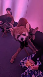 横浜・八景島シーパラダイスに投稿された画像（2026/4/12）