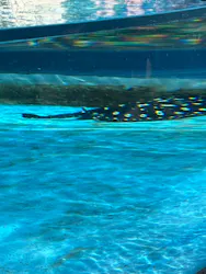 サンシャイン水族館に投稿された画像（2026/4/12）