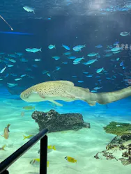 サンシャイン水族館に投稿された画像（2026/4/12）