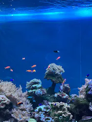 サンシャイン水族館に投稿された画像（2026/4/12）