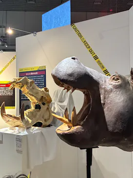 特別展「超危険生物展　科学で挑む生き物の本気」に投稿された画像（2026/4/12）