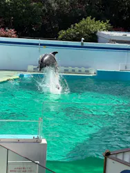 しながわ水族館に投稿された画像（2026/4/12）