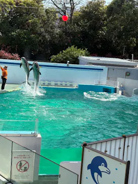 しながわ水族館に投稿された画像（2026/4/12）