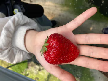 お陽様農園に投稿された画像（2026/4/12）