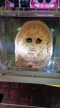 特別展「超危険生物展　科学で挑む生き物の本気」に投稿された画像（2026/4/12）