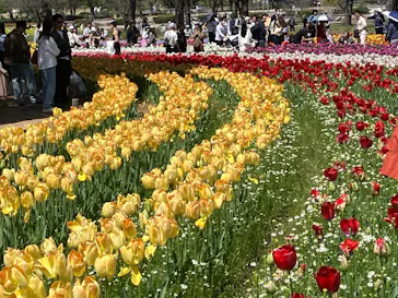 万博記念公園に投稿された画像（2026/4/12）