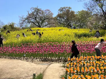 万博記念公園に投稿された画像（2026/4/12）