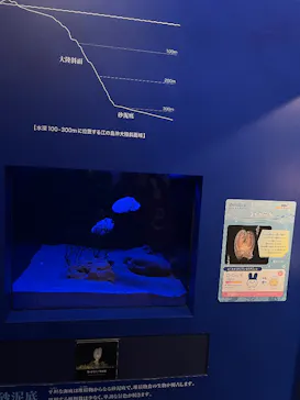 新江ノ島水族館に投稿された画像（2026/4/12）