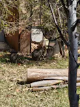 こども動物自然公園（埼玉県公園緑地協会）に投稿された画像（2026/4/12）